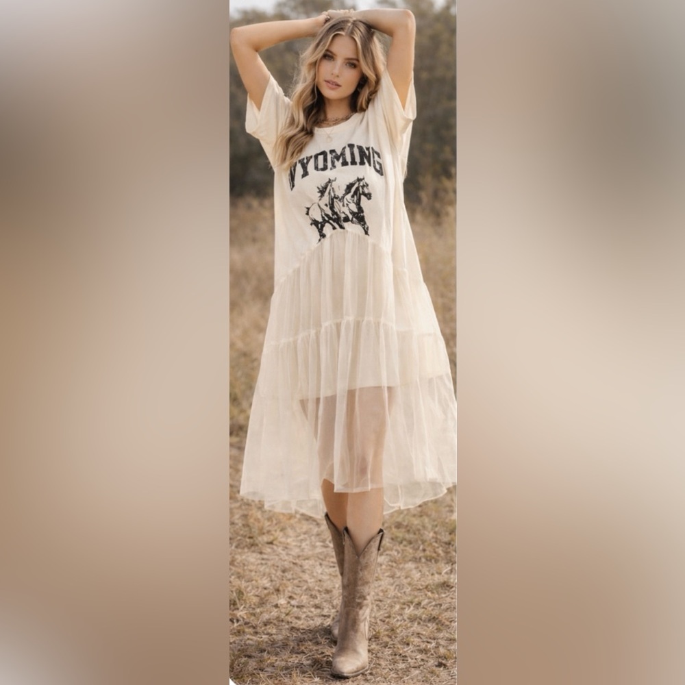 🆕 Tricia Fix Free People Wyoming Tulle Dress/Top/Tunic
*Sold out @ Free People